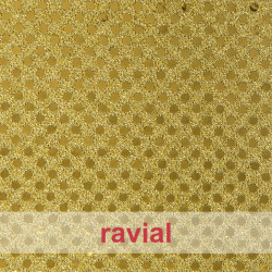 FIESTA PARTY. Stretch fabric with small sequins.
