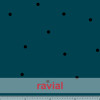 D-DRAVA ESTP