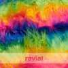 ANIMALIA RASTY