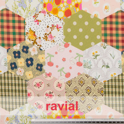 Tejido de algodón con estampado digital de hexágonos, con distintos dibujos.