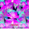 NEW-GYMBATH